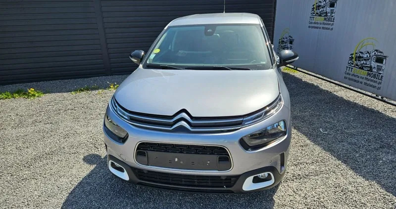 citroen c4 cactus dęblin Citroen C4 Cactus cena 32900 przebieg: 79898, rok produkcji 2019 z Dęblin